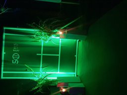 jub_2026_06_20_45